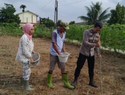 Dukung Ketapang, Bhabinkamtibmas Polsek Siantar Utara Sambangi Lahan Warga Binaan