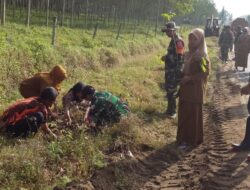 Dinas Lingkungan Hidup Kabupaten Simalungun Bersama Kecamatan Dolok Batu Nanggar menggelar kegiatan Gotong Royong penanaman pohon dalam rangka memperingati Hari Sejuta Pohon