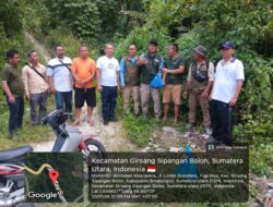 Kesigapan Polsek Parapat Ungkap Fakta Satwa Terlindas di Jembatan Sisera-sera, Sempat Disangka Anak Harimau