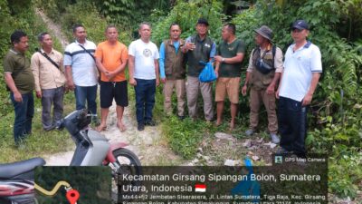 Kesigapan Polsek Parapat Ungkap Fakta Satwa Terlindas di Jembatan Sisera-sera, Sempat Disangka Anak Harimau