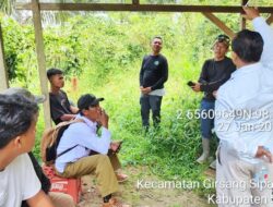 Temuan Bangkai Satwa Liar di Kelurahan Girsang: BKSDA dan Camat Tegaskan Bukan Harimau Sumatra, Melainkan Macan Akar