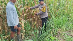 Bhabinkamtibmas Polsek Siantar Marihat Sambangi Warga Binaan