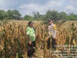 Dukung Ketapang, Bhabinkamtibmas Polsek Siantar Timur Sambangi Warga Binaan