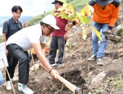 Wabup Samosir Tanam Pohon di Lereng Gunung Pusuk Buhit, Perkuat Komitmen Pelestarian Alam