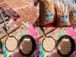 Kemiri Girsang: Dari Lereng Danau Toba, UMKM Desa Siap Tembus Pasar Nasional hingga Ekspor