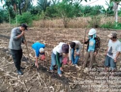 Bhabinkamtibmas Polsek Siantar Martoba Serahkan Bantuan Bibit Jagung kepada Warga Binaan
