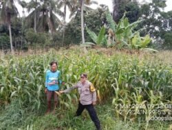 Dukung Ketapang, Bhabinkamtibmas Polsek Siantar Barat Sambangi Warga Binaan