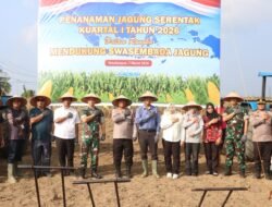 Kapolres Simalungun Pimpin Penanaman Jagung Serentak, Wujud Nyata Polri Dukung Swasembada Pangan