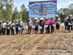 Dukung Swasembada Pangan, Polri Bersama Pemerintah Daerah Humbahas Tanam Jagung