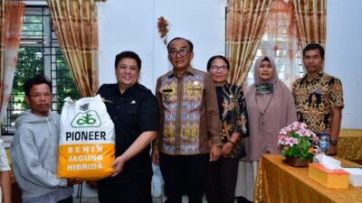 Pemkab Samosir Salurkan Bibit Jagung untuk 50 Hektare, Bupati: Jangan Dijual, Manfaatkan Maksimal