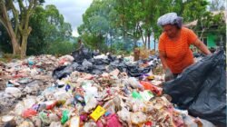 Mengais Rezeki dari Sampah, Perjuangan Ibu Lansia di Samosir Biayai Anak Kuliah Kedokteran Demi Masa Depan.