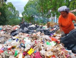 Mengais Rezeki dari Sampah, Perjuangan Ibu Lansia di Samosir Biayai Anak Kuliah Kedokteran Demi Masa Depan.
