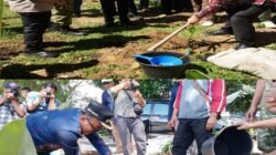 Jaga Ekosistem Danau Toba, Bupati Samosir bersama Yayasan Pusuk Buhit Tebar 1.000 Bibit Ikan dan Tanam 1.000 Pohon