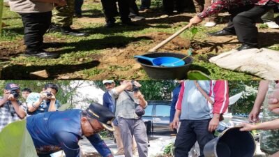Jaga Ekosistem Danau Toba, Bupati Samosir bersama Yayasan Pusuk Buhit Tebar 1.000 Bibit Ikan dan Tanam 1.000 Pohon