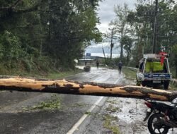 Tanggap Darurat Polres Simalungun — Laporan Pohon Tumbang Via Call Center 110 Langsung Direspons, Kemacetan Panjang Jalan Siantar-parapat Berhasil Diatasi
