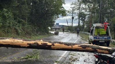 Tanggap Darurat Polres Simalungun — Laporan Pohon Tumbang Via Call Center 110 Langsung Direspons, Kemacetan Panjang Jalan Siantar-parapat Berhasil Diatasi