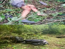 Wisman dan Pengemudi Sepeda Motor Tewas dalam Kecelakaan di Jalur Tele–Air Terjun Efrata Samosir.