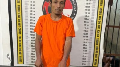 Tidak Berkutik! Bandar Sabu Dilipat Tim Polsek Raya Kahean Di Kebun Sawit, Sempat Melawan Dengan Gunting
