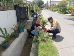 Bhabinkamtibmas Polsek Siantar Timur Salurkan Bantuan Bibit Cabe dan Terong kepada Warga Binaan