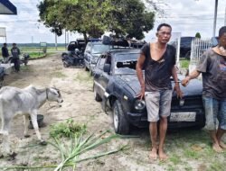 Unit Jatanras Polres Simalungun Tunjukkan Taring: Respons Kilat Tangani Laporan 110, Dua Pencuri Lembu Berhasil Dijerat