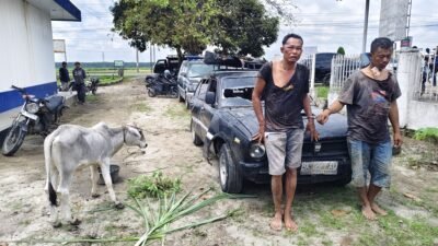 Unit Jatanras Polres Simalungun Tunjukkan Taring: Respons Kilat Tangani Laporan 110, Dua Pencuri Lembu Berhasil Dijerat