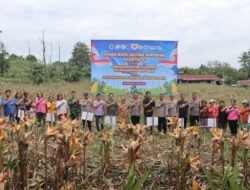 Polres Pematang Siantar Ikuti Zoom Meeting Panen Raya Jagung Serentak Kuartal II Tahun 2026