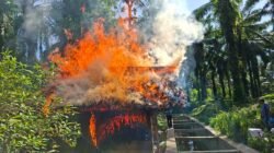 Polres Simalungun Gerebek Sarang Narkoba Di Tanah Jawa, Lima Tersangka Diringkus Dan 99,74 Gram Sabu Disita