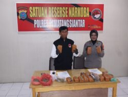 Door Stop Ungkap Kasus,Kasat Narkoba Polres Pematang Siantar Paparkan Didepan Media