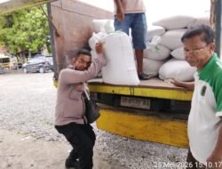 Kapolsek Siantar Marihat Dampingi Penjualan Jagung Petani Binaannya ke Bulog