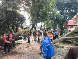 Reaksi cepat Kapolsek Siantar Marihat Evakuasi Pohon Tumbang timpa Rumah warga