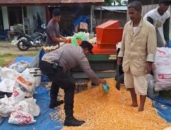 Dukung Ketapang, Bhabinkamtibmas Polsek Siantar Marihat Hadir Bersama Petani Binaaan