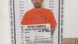 Satnarkoba Polres Pematang Siantar Amankan Pemilik Ganja 88,14 Gram