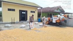 Bhabinkamtibmas Polsek Siantar Marihat Sambangi Petani Binaan Jemur Jagung