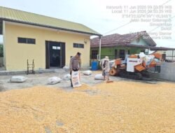 Bhabinkamtibmas Polsek Siantar Marihat Sambangi Petani Binaan Jemur Jagung