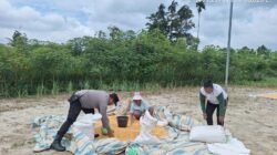 Polsek Siantar Marihat Bantu Cek Kadar Air Jagung Petani Binaan