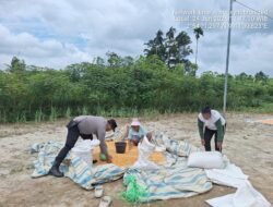 Polsek Siantar Marihat Bantu Cek Kadar Air Jagung Petani Binaan