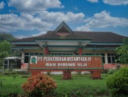 Produksi Tumbuh Dua Digit, Kebun Bah Birung Ulu Perkuat Transformasi dan Pemberdayaan Masyarakat