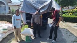 Bhabinkamtibmas Dampingi Penjualan Jagung Petani Binaan Kapolsek Siantar Marihat