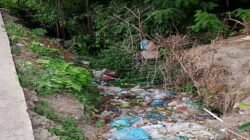 Sampah Berserakan di Binanga Bulu, Ujian Nyata Semangat “Samosir Rumah Kita” di Tengah Keberadaan TPA Terbesar di Sumut