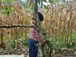 Polsek Jorlang Hataran Sigap Tangani Laporan Warga, Penemuan Jasad Diduga Bunuh Diri di Perladangan Coklat