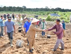 Bupati Vandiko Salurkan 5 Ton Bibit Kentang, Ajak Petani Buktikan Keberhasilan Program Sumut Berkah