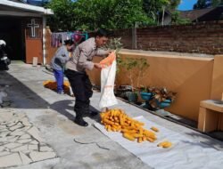 Bhabinkamtibmas Polsek Siantar Selatan Sambangi Petani Binaan di Jalan Lingga