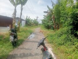Diduga Beraktivitas di Kawasan Hutan Lindung, PT Tun Sewindu Dipersoalkan Kelompok Tani