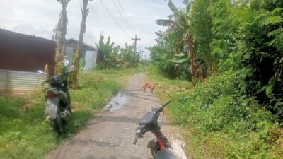 Diduga Beraktivitas di Kawasan Hutan Lindung, PT Tun Sewindu Dipersoalkan Kelompok Tani