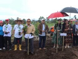Kopi Dairi Kembali Ditanam, 118 Hektare di Parbuluan Disiapkan Menatap Pasar Dunia