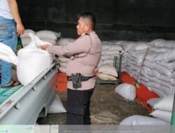 Polsek Siantar Selatan Dampingi Penjualan Jagung Petani Binaan di Bulog Cabang Pematangsiantar