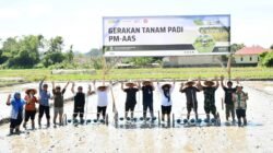 148 Hektare Masuk Program PM-AAS, Samosir Kejar Produksi 10 Ton per Hektare