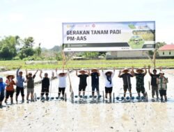 148 Hektare Masuk Program PM-AAS, Samosir Kejar Produksi 10 Ton per Hektare