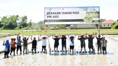 148 Hektare Masuk Program PM-AAS, Samosir Kejar Produksi 10 Ton per Hektare