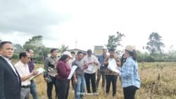 Kuasa Hukum Sarah Sagala Soroti Kejanggalan Dokumen dan Kesaksian dalam Sengketa Tanah di PN Sidikalang